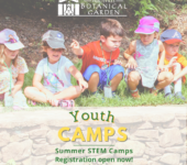 Summer STEM Camps