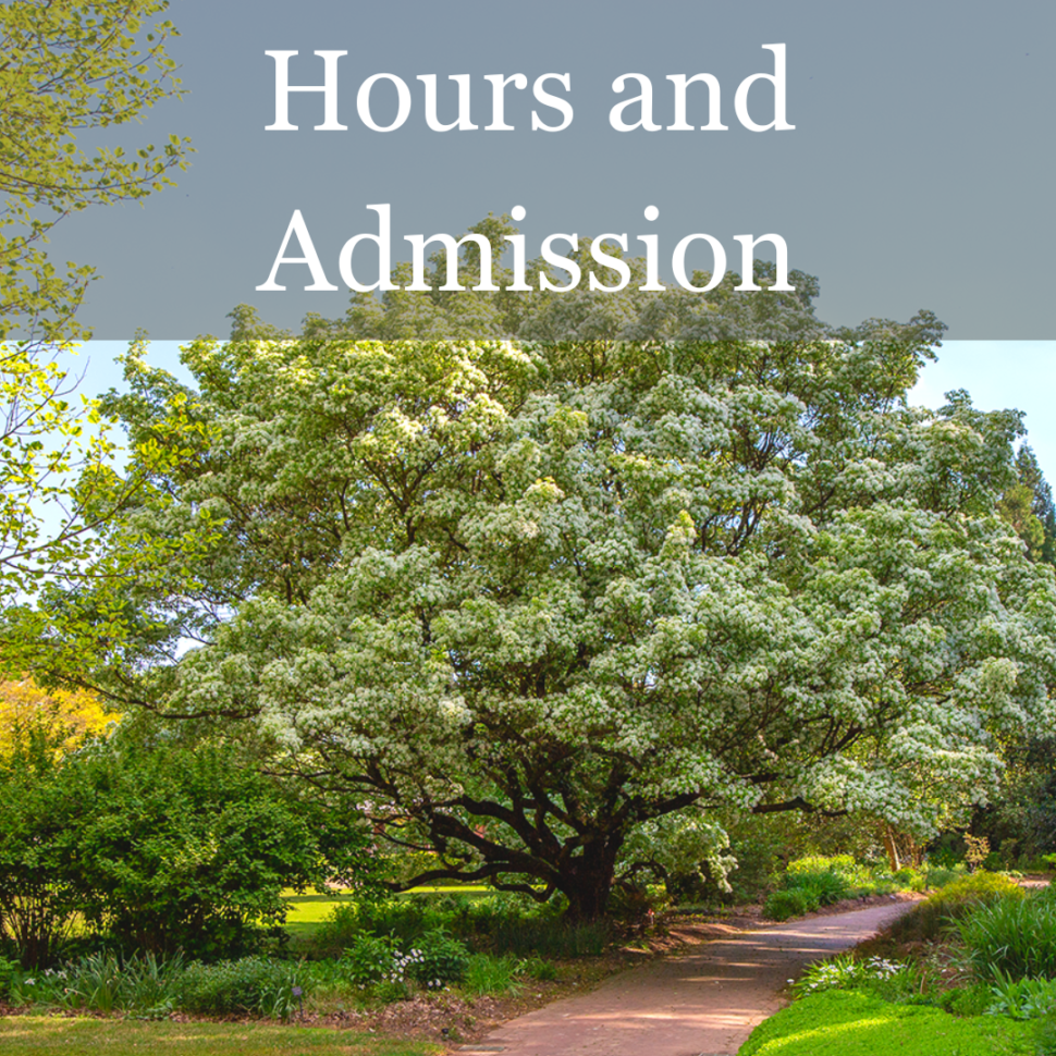 Hours and Admission