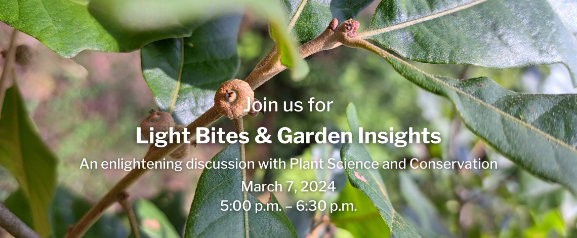 Light Bites & Garden Insights